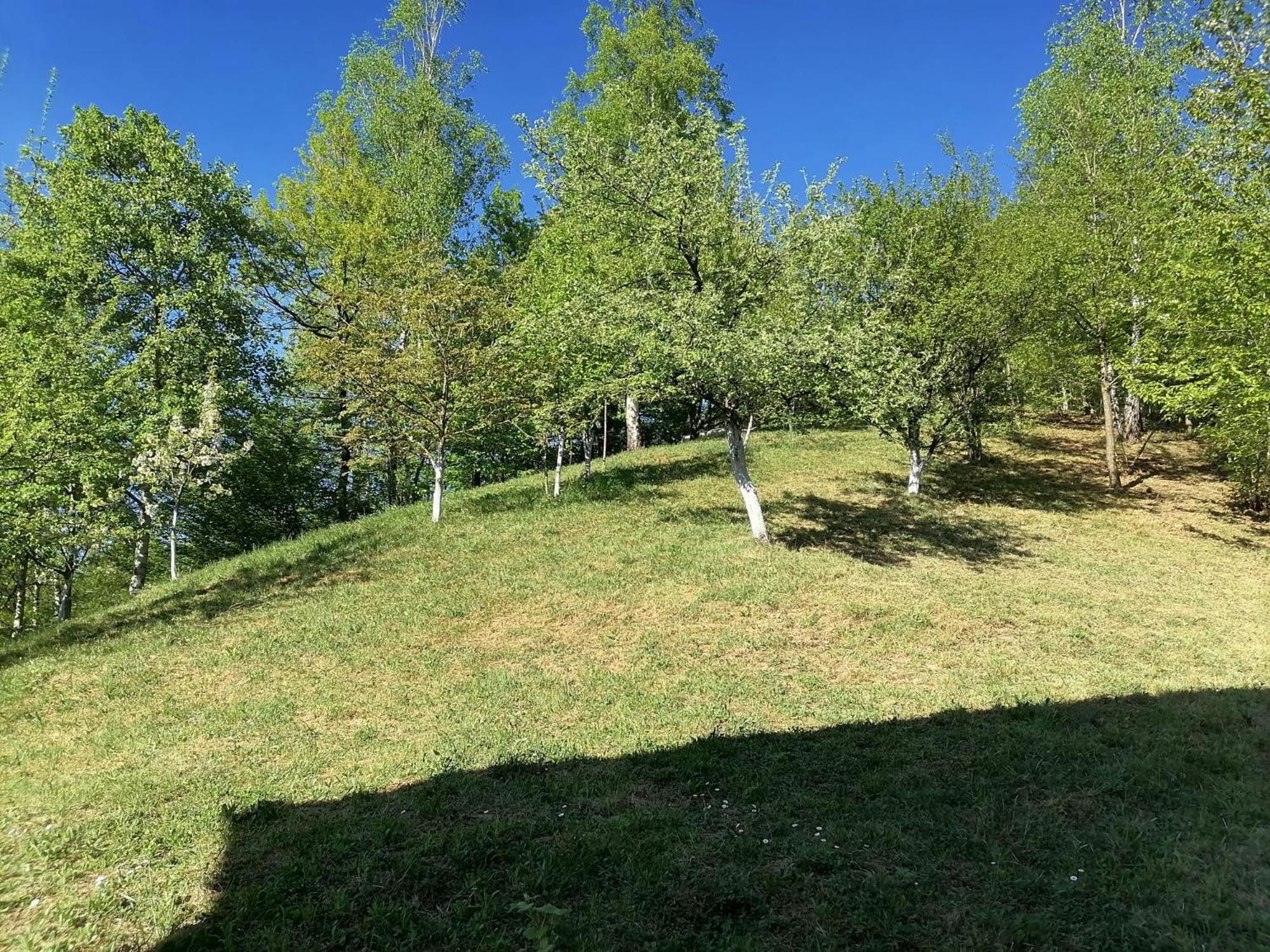 1 * Sarajevo